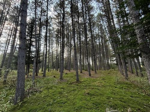 BoisÃ© - Ch. Plaisance, Chute-Saint-Philippe, QC 