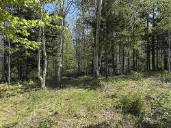 Lot 2.4+- Acres Oliver Road  Hazel Glen, NS B0K 2A0