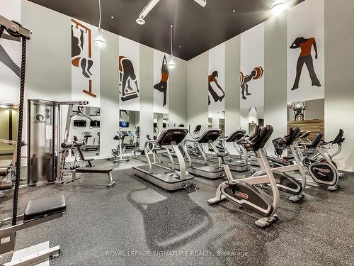 333-1030 King St W, Toronto, ON - Indoor Photo Showing Gym Room