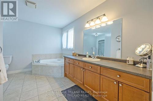 337 Plane Tree Drive, London, ON - Indoor Photo Showing Bathroom