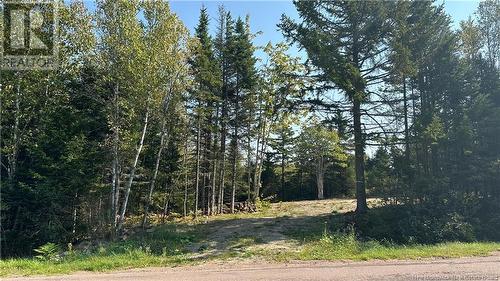 340 Breau Creek Road, Memramcook, NB 