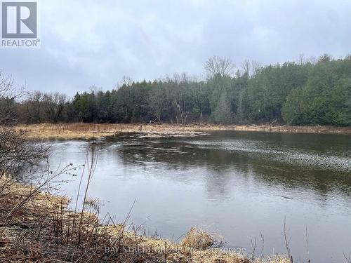 6 Spring Street, Kawartha Lakes, ON - Outdoor With Body Of Water With View