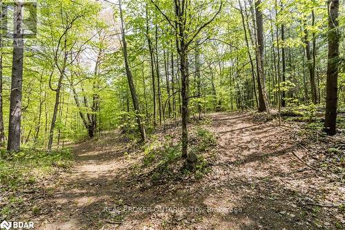 358 Shanty Bay Road, Oro-Medonte (Shanty Bay), ON 