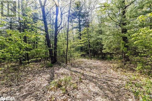 358 Shanty Bay Road, Oro-Medonte (Shanty Bay), ON 