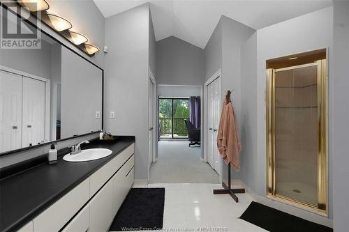 12246 Lessard, Tecumseh, ON - Indoor Photo Showing Bathroom