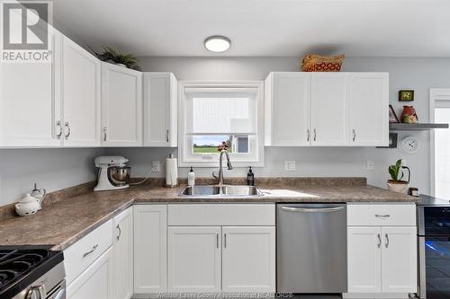 8812 Concession 8, Amherstburg, ON - Indoor Photo Showing Kitchen With Double Sink