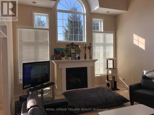 303 Berryhill Drive, London, ON - Indoor Photo Showing Living Room With Fireplace