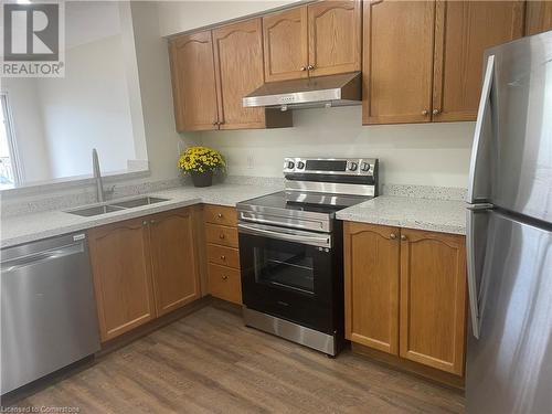 Kitchen - 43 Big Springs Court, Kitchener, ON - Indoor Photo Showing Kitchen With Double Sink