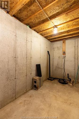 13561 Morris Road, Comber, ON - Indoor Photo Showing Basement