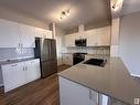 1728 Erker Wy Nw, Edmonton, AB  - Indoor Photo Showing Kitchen With Double Sink 