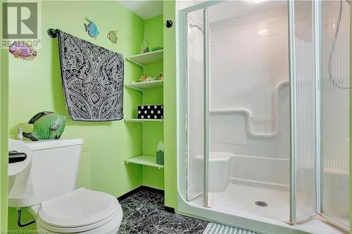 62 Hackney Ridge, Brantford, ON - Indoor Photo Showing Bathroom