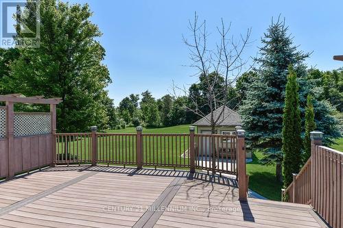 3 Castlewood Court, Caledon, ON 