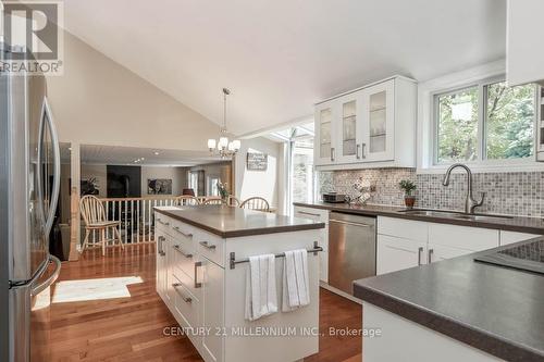 19007 Mountainview Road, Caledon, ON - Indoor Photo Showing Kitchen With Upgraded Kitchen