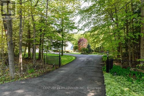 19007 Mountainview Road, Caledon, ON - Outdoor