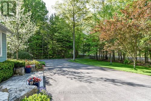 19007 Mountainview Road, Caledon, ON - Outdoor