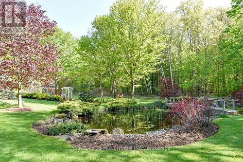 19007 Mountainview Road, Caledon, ON - Outdoor