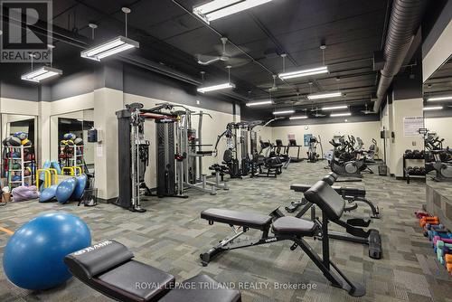 1519 Moe Norman Place, London, ON - Indoor Photo Showing Gym Room