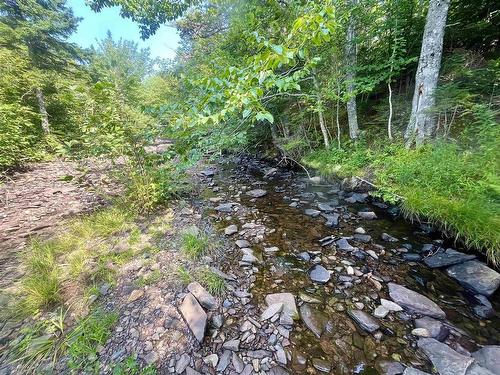 1520 Back Road, River Bourgeois, NS 