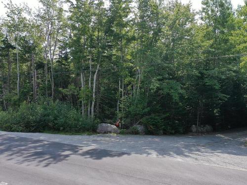 Lot 113 Lake Drive, Port Mouton, NS 