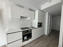 1532-234 Simcoe St, Toronto, ON  - Indoor Photo Showing Kitchen 