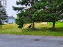 14 Mosdells Lane, Bay Roberts, NL 