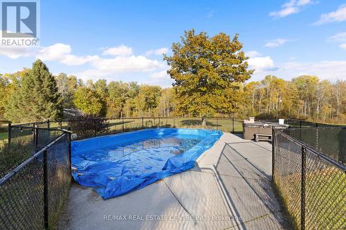 5188 Highway 26 Freeway, Clearview, ON - Outdoor With Above Ground Pool