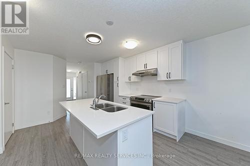 12 Roper Place, Kitchener, ON - Indoor Photo Showing Kitchen With Double Sink