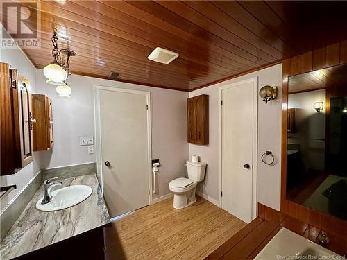 33 Roulston Avenue, Plaster Rock, NB - Indoor Photo Showing Bathroom