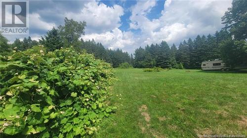 390 Pomerory Ridge Road, Pomeroy Ridge, NB - Outdoor With View