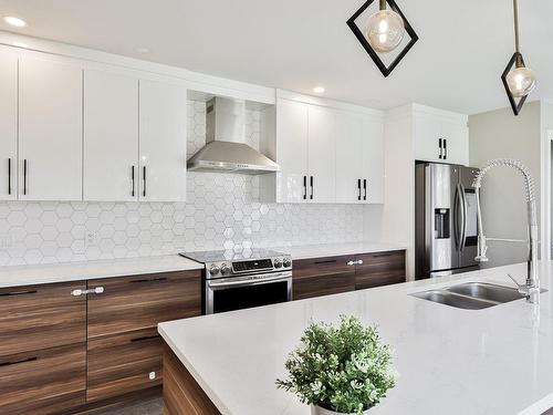 Kitchen - 17035 Rue Du Corail, Mirabel, QC - Indoor Photo Showing Kitchen With Double Sink With Upgraded Kitchen