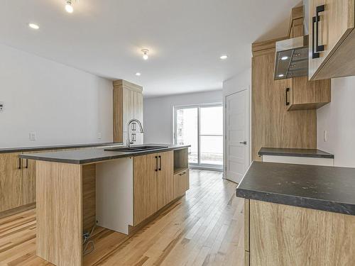 Kitchen - 79B Rue Du Rossignol, Brownsburg-Chatham, QC - Indoor Photo Showing Kitchen