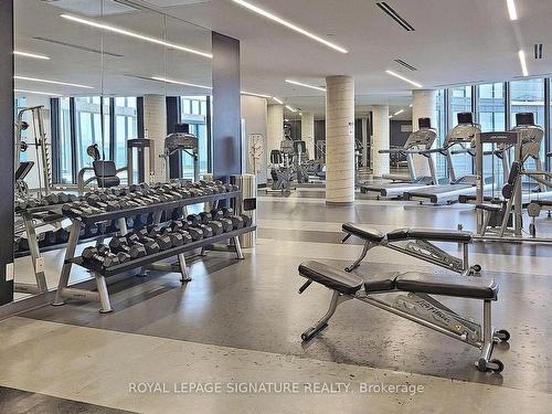 703-49 East Liberty St, Toronto, ON - Indoor Photo Showing Gym Room