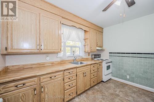 149 Bristol Street, Guelph, ON - Indoor Photo Showing Kitchen