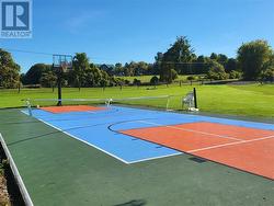 Pickle ball/basketball court - 