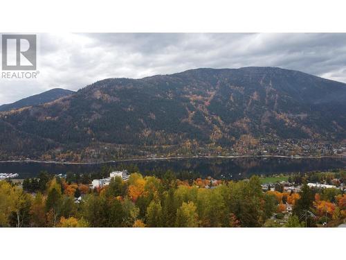 1220 Mill  Street Unit# 1, Nelson, BC - Outdoor With View