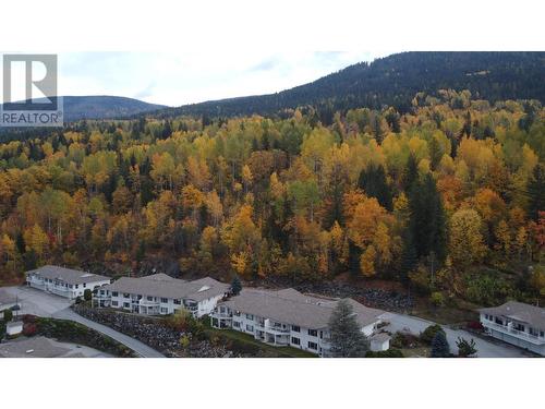 1220 Mill  Street Unit# 1, Nelson, BC - Outdoor With View