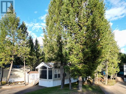 4858 Lynx Drive, Radium Hot Springs, BC - Outdoor