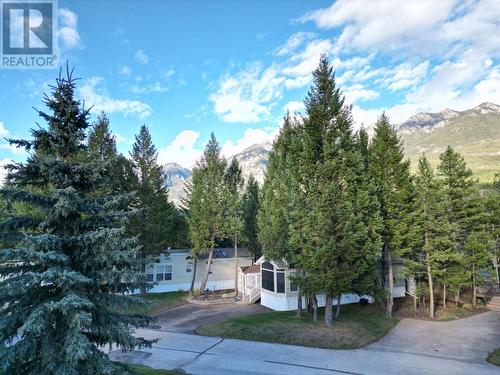 4858 Lynx Drive, Radium Hot Springs, BC - Outdoor With View