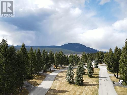 4858 Lynx Drive, Radium Hot Springs, BC - Outdoor With View