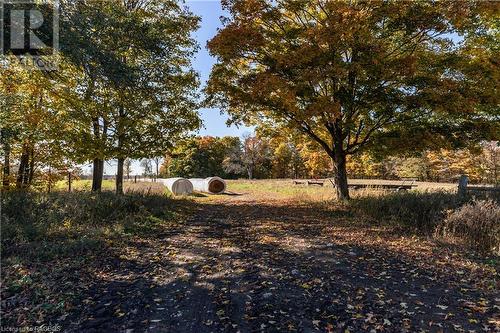 602446 Sideroad 8, Chatsworth (Twp), ON - Outdoor