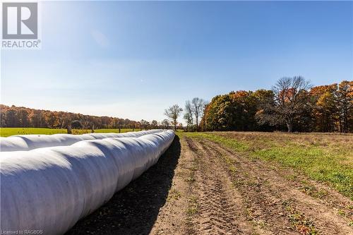 602446 Sideroad 8, Chatsworth (Twp), ON - Outdoor With View