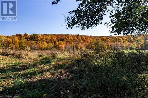 602446 Sideroad 8, Chatsworth (Twp), ON - Outdoor With View