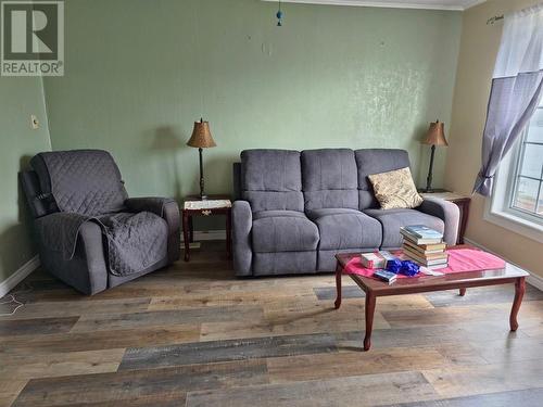 11 Walshes Hill, Bay De Verde, NL - Indoor Photo Showing Living Room