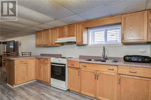 547 Alexander Street, Sudbury, ON - Indoor Photo Showing Kitchen With Double Sink