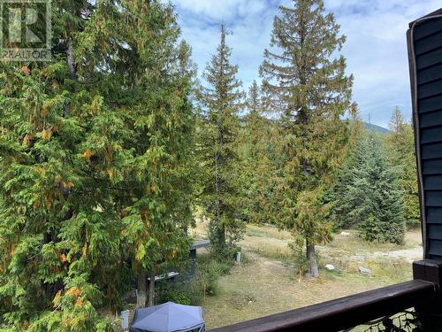 1005 Mountain View Road Unit# 4D, Rossland, BC - Outdoor