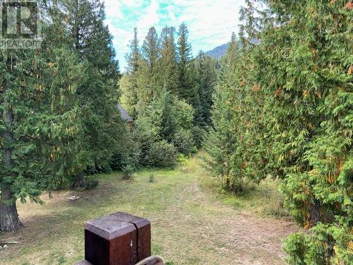 1005 Mountain View Road Unit# 4D, Rossland, BC - Outdoor