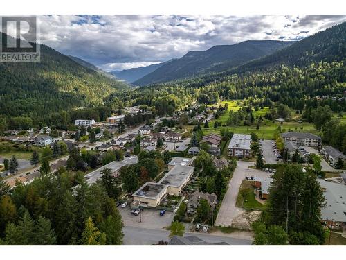 443 Richards    W Street, Nelson, BC - Outdoor With View