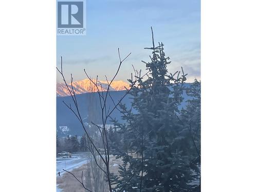 4878 Ridge  Road Unit# 25, Radium Hot Springs, BC - Outdoor With View