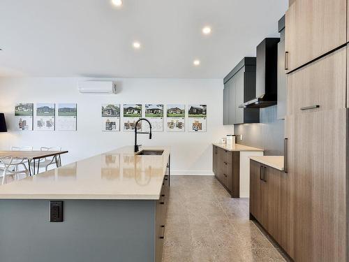 Kitchen - Rue Léon-Landry, Sainte-Julienne, QC - Indoor Photo Showing Kitchen With Double Sink