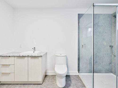 Bathroom - Rue Léon-Landry, Sainte-Julienne, QC - Indoor Photo Showing Bathroom